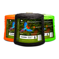 BARBANTE AMAZÔNIA Nº 6 - 2KG