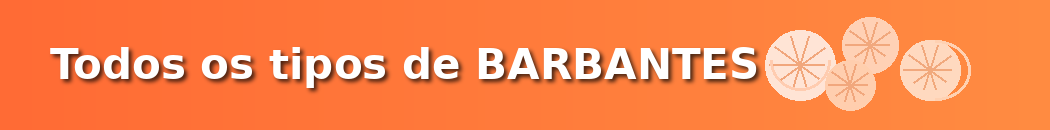 Todos os tipos de BARBANTES